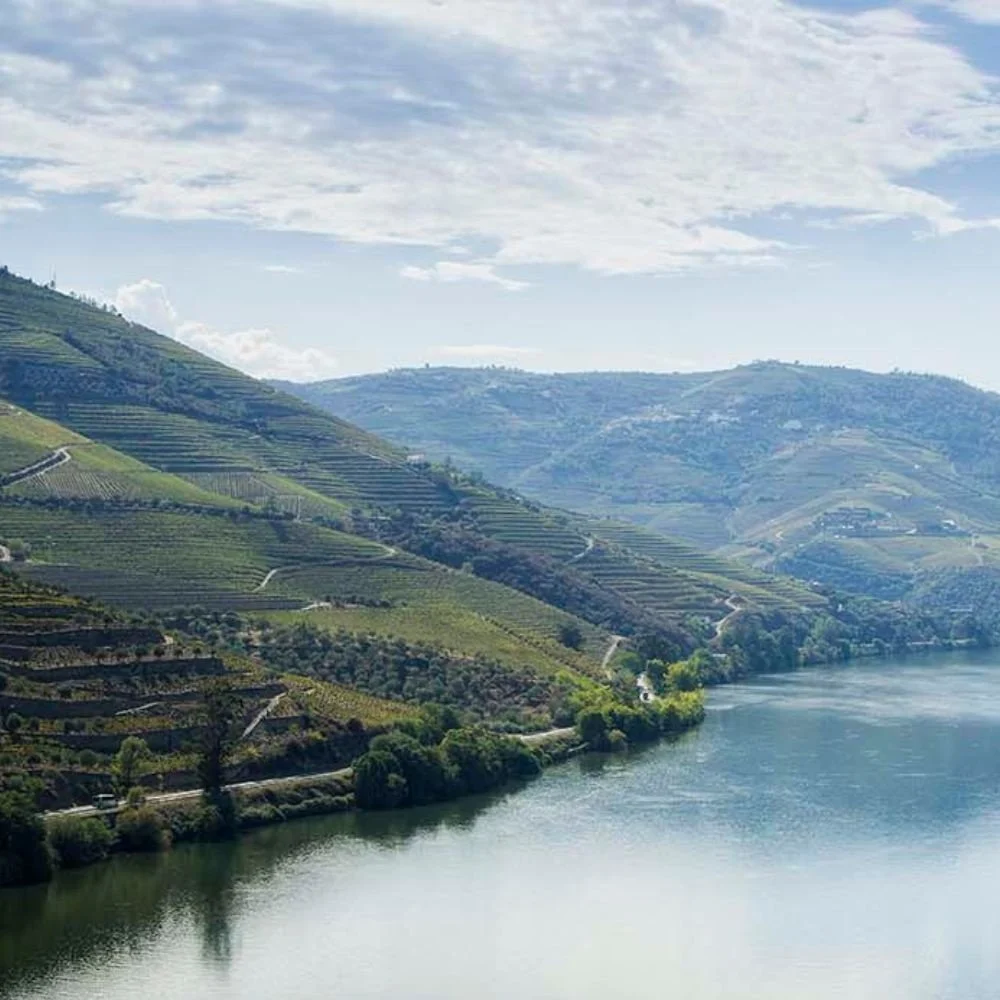 Douro river winding between terraced hillsides