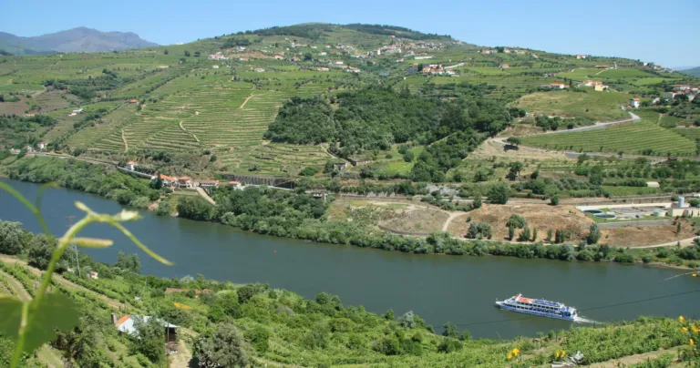 River winding through terraced vineyard slopes with a small boat
