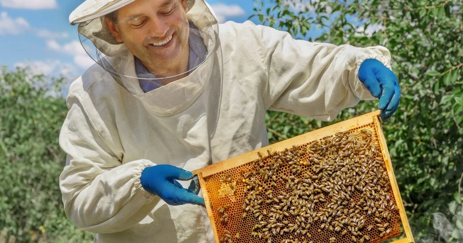 Beekeeper smiling while holding a frame of bees