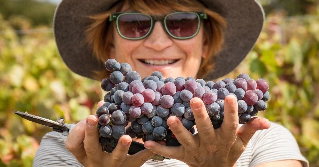 Smiling woman in a hat holding a large bunch of dark grapes