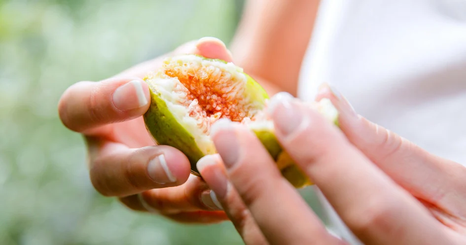 Hands opening a ripe fig