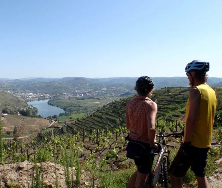 Two cyclists stopping to look over terraced vineyards and a river valley