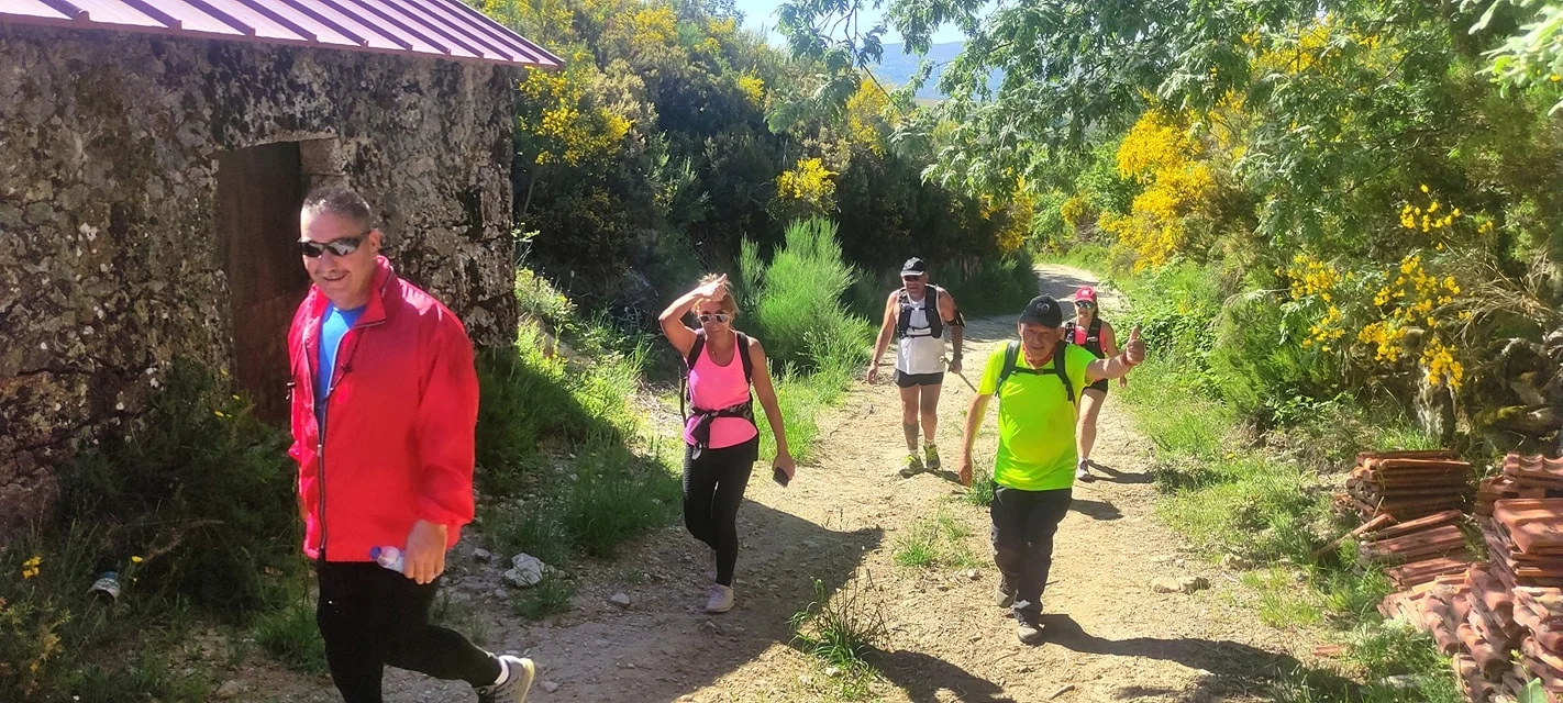 Four hikers walking along a countryside path