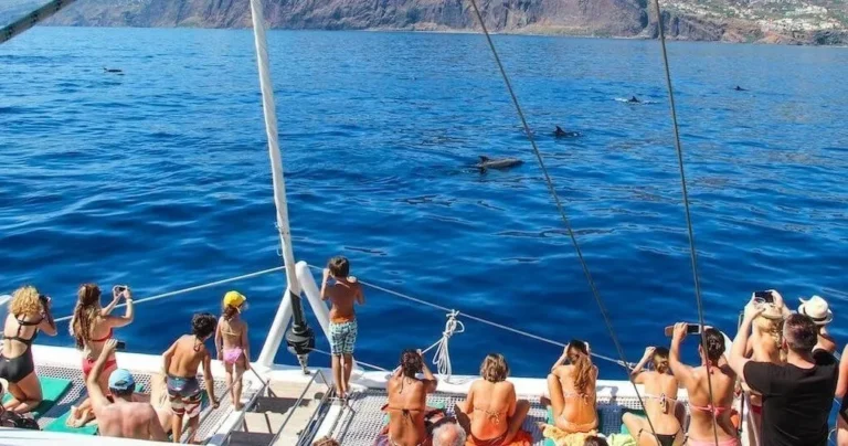 Catamaran Trip with Sightings of Cetaceans