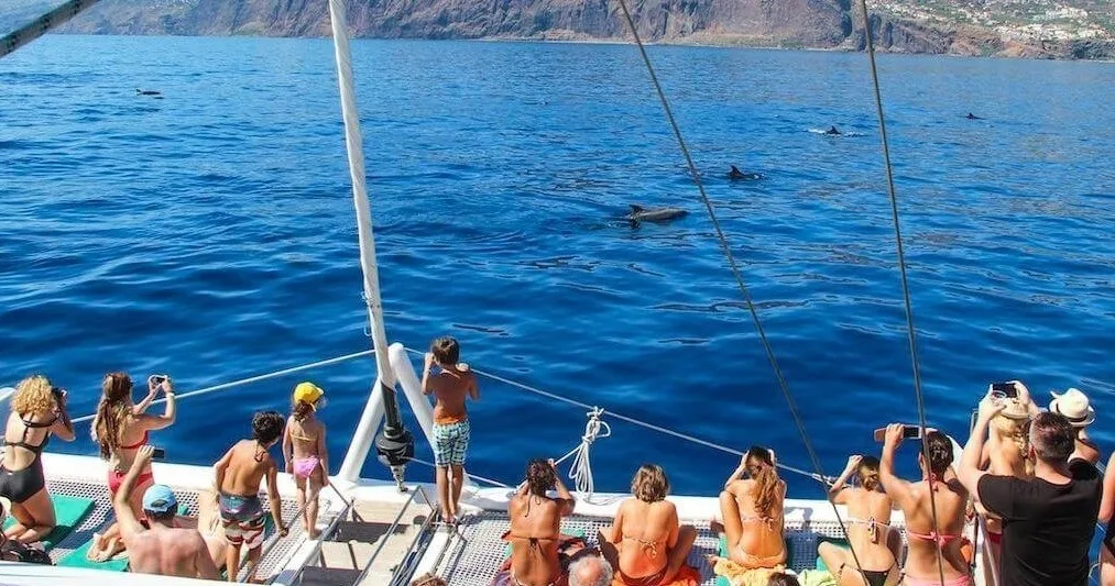 Catamaran Trip with Sightings of Cetaceans