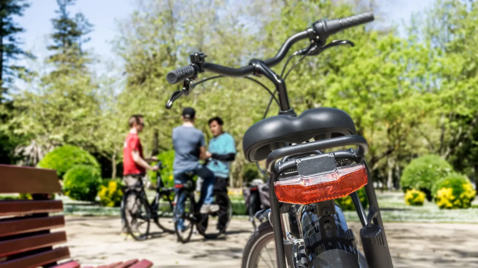 Rear of an e-bike in a park with people chatting in the background