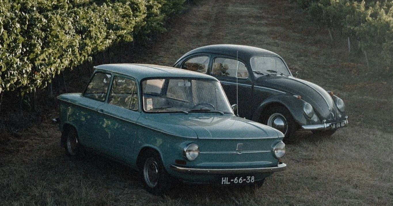 Two vintage cars, a blue sedan and a Beetle, parked among vineyards