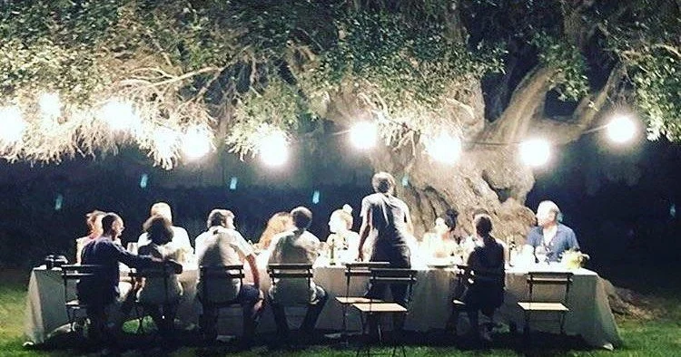 Guests dining at a long table under an old tree strung with lights at night