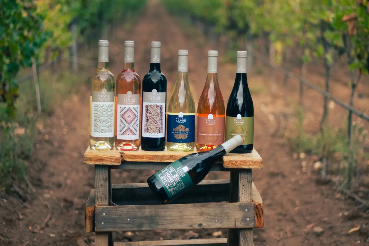 Six bottles of wine standing on a wooden crate between vineyard rows
