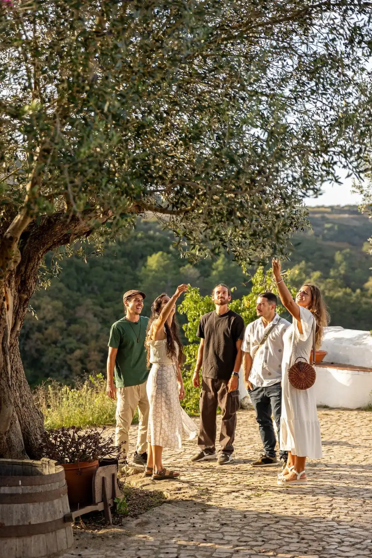 Visitors raising their arms beneath an olive tree on a hillside
