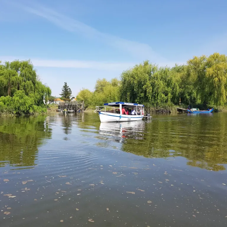 Small boat gliding along a river bordered by willows