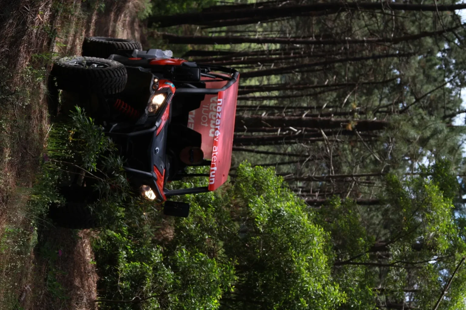 Pinhal Buggy Tour