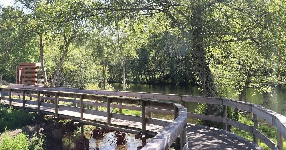 Wooden boardwalk beside a river under trees