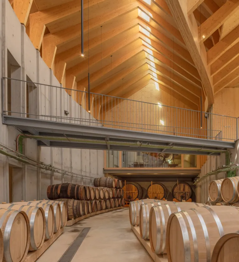 Barrel hall with a timber roof and stacked oak barrels