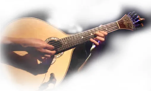 Fado Dinner in Lisbon - Private Tour