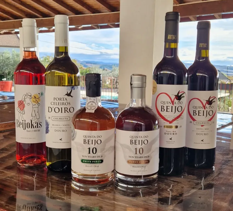 Rosé, white, tawny and red wines lined up on a table