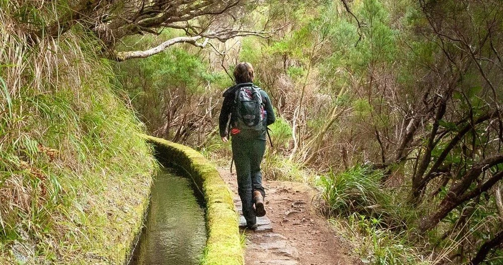 Hiker walking along a levada water channel through forest