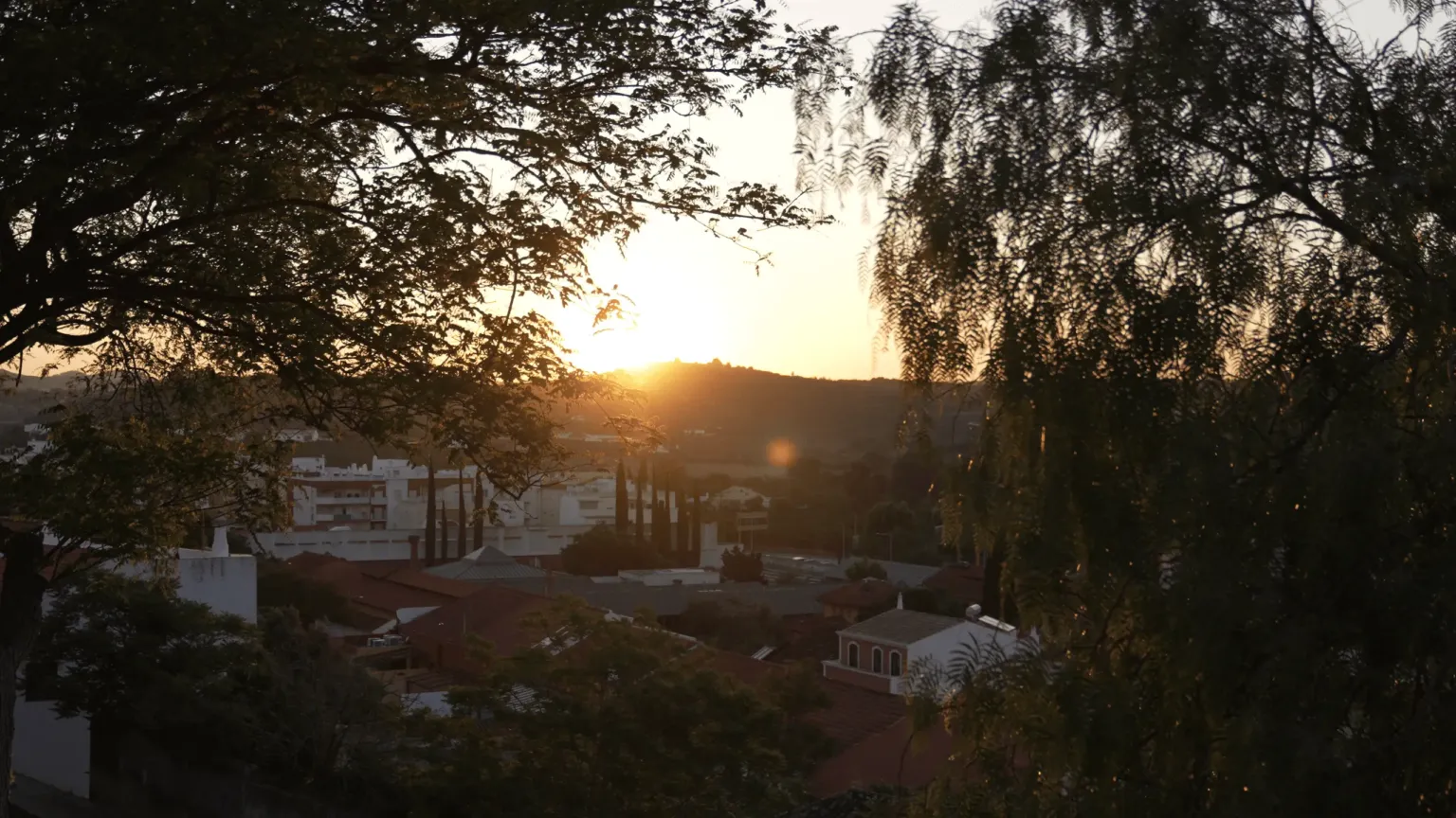 Sun setting through trees above a town's rooftops