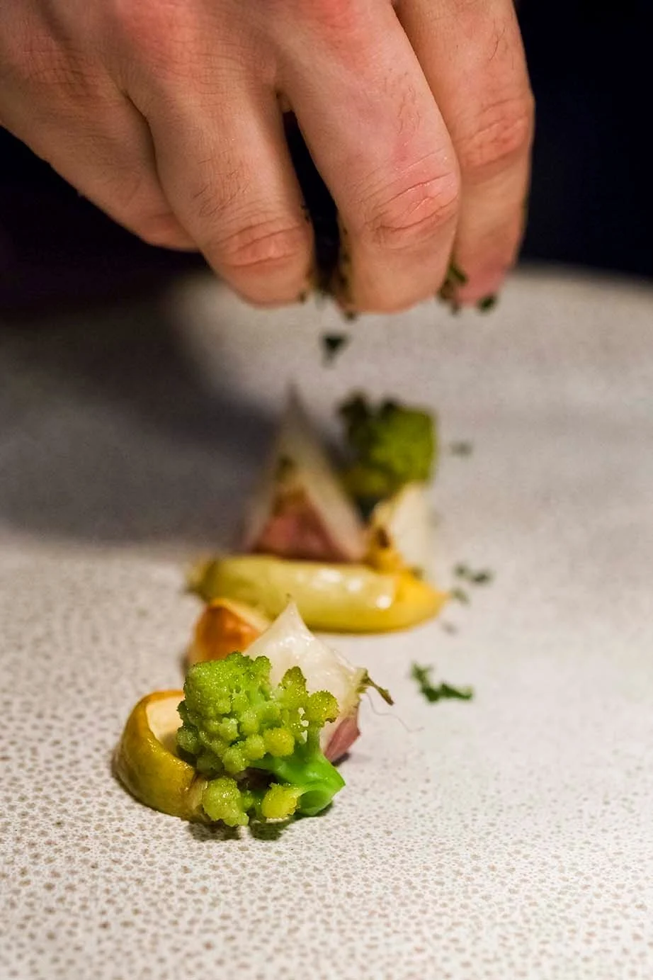 Fine-dining dish being plated with microgreens and sauce
