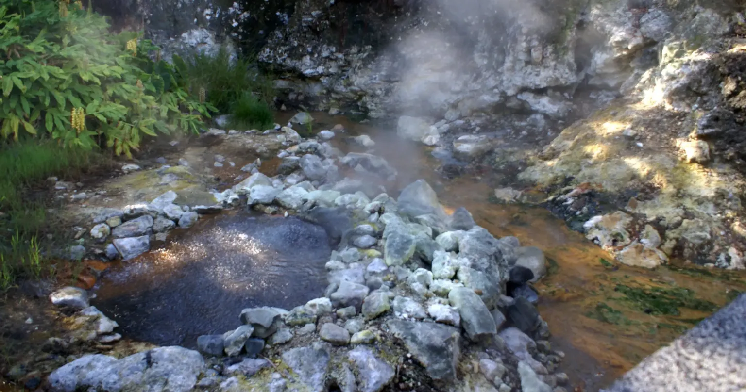 Steaming hot spring pool among rocks and ferns