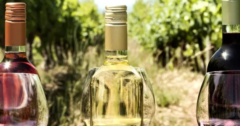 Bottles of white, rosé and red wine in a vineyard