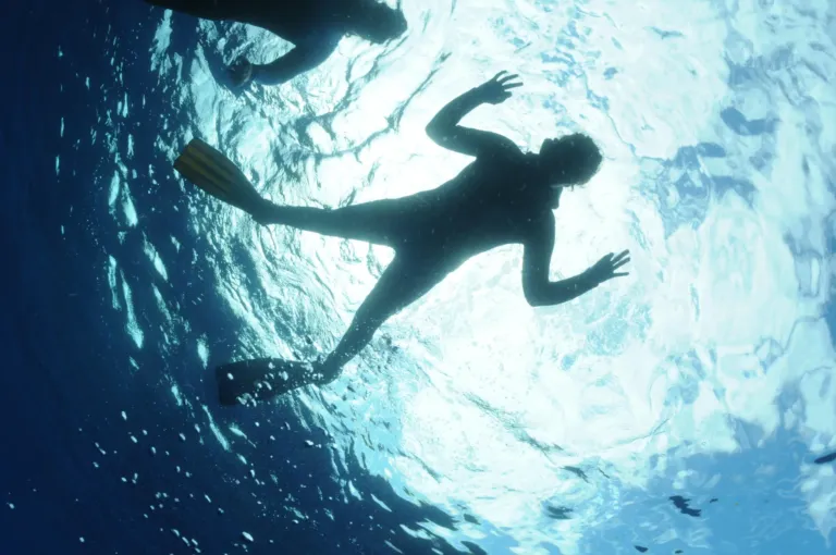 Snorkeller silhouetted against the sunlit surface from below
