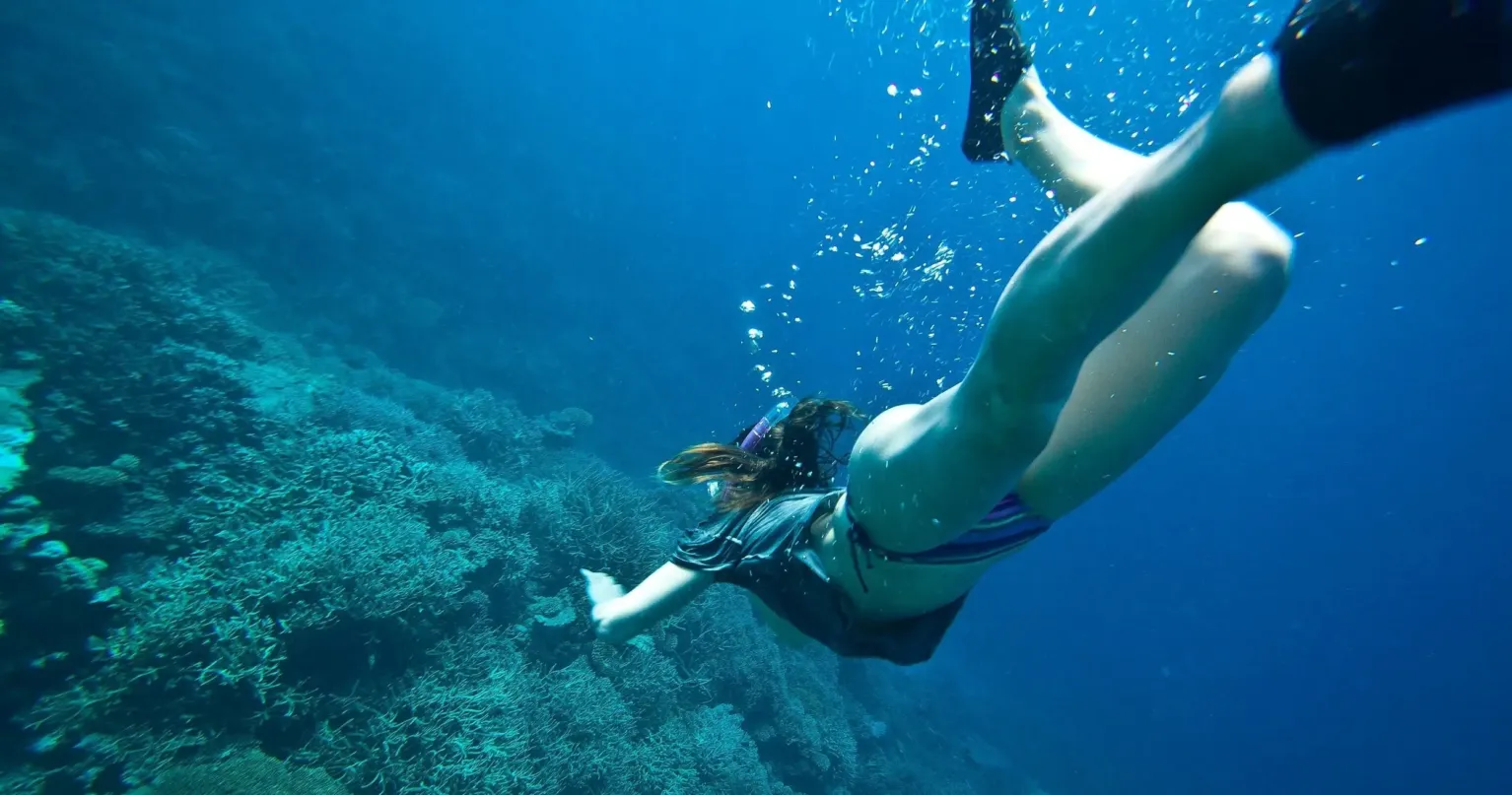 Snorkeller diving over a rocky reef