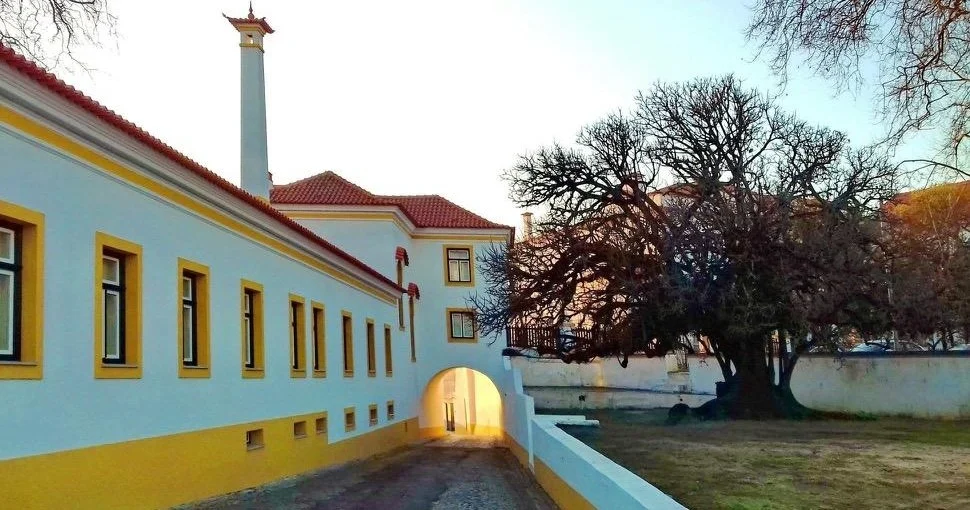 White building with yellow trim beside an archway and a large tree