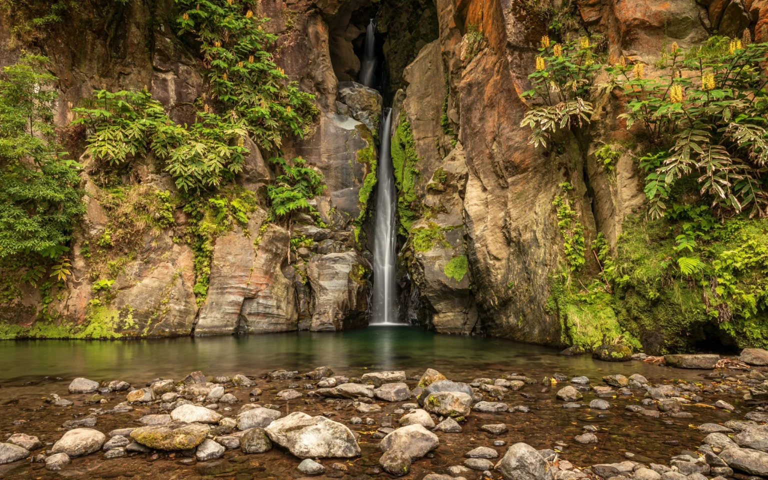 Narrow waterfall falling into a clear pool in a mossy rock cleft