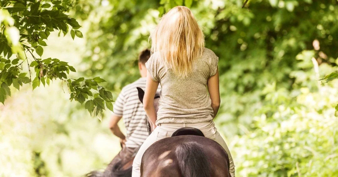 Woman on horseback seen from behind in sunlit greenery