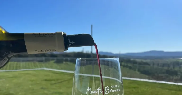 Red wine being poured into a glass above a green vineyard landscape