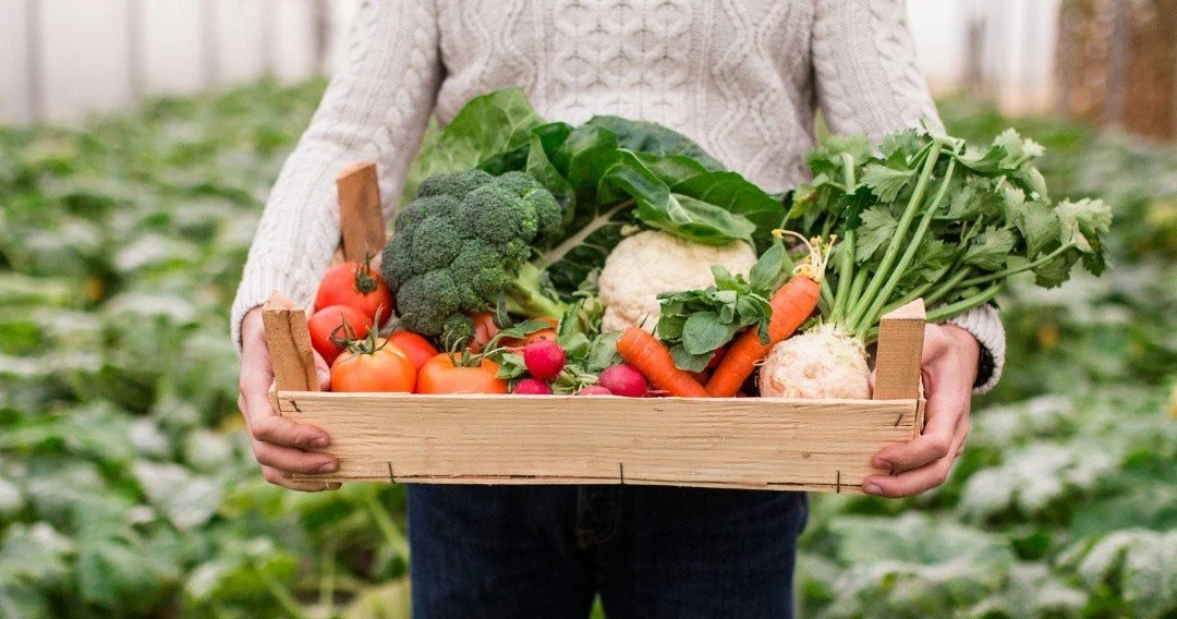 Person holding a crate of fresh vegetables in a field