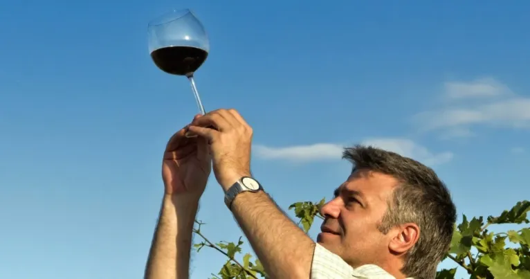 Winemaker holding up a glass of red wine to the sky among vines
