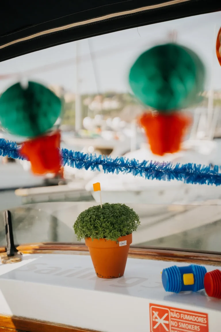 Bluedays São João Boat Tour