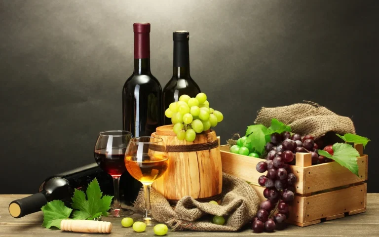 Nature, Vineyards & Winetasting Experience