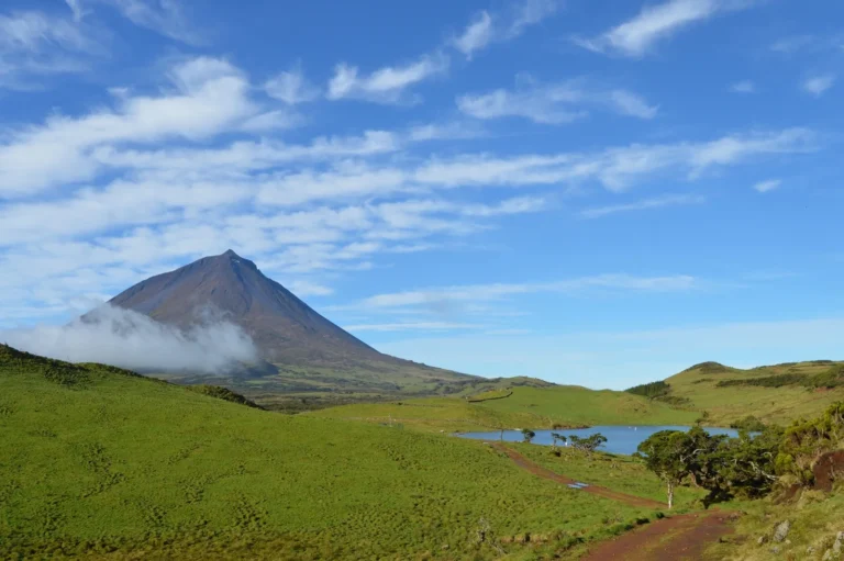 Pico Full Day Tour - Private Tour