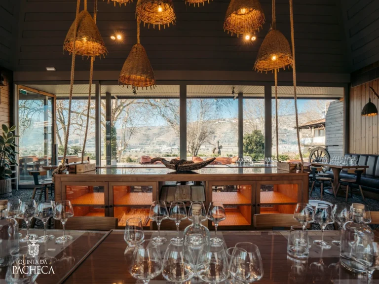 Wine Tasting Initiation Course
