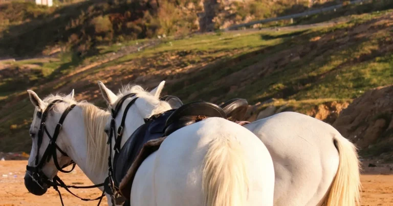Escapadinha – Essencial do Gerês