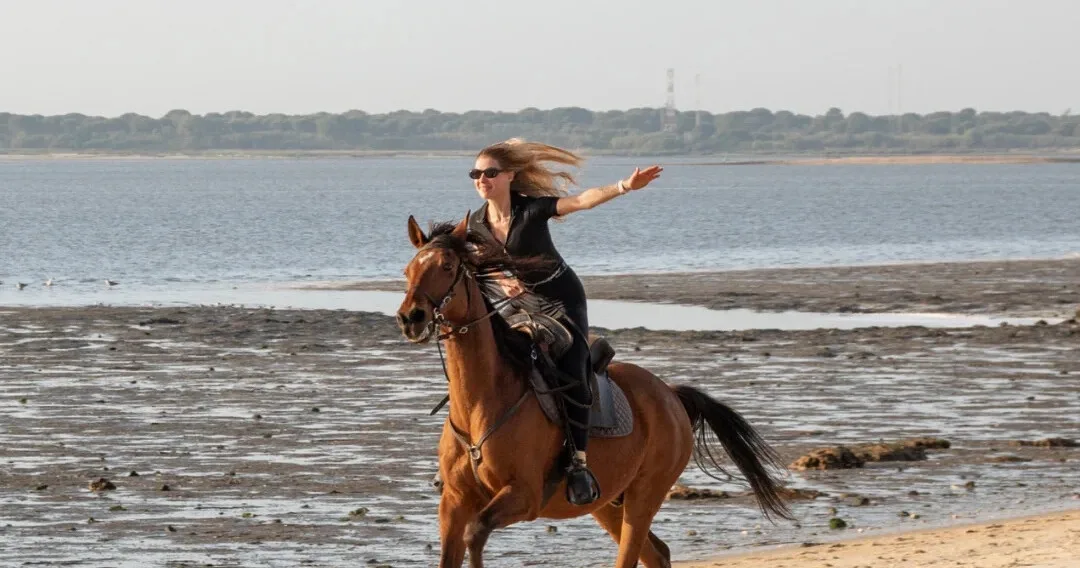 Lisbon Private Horseback Riding