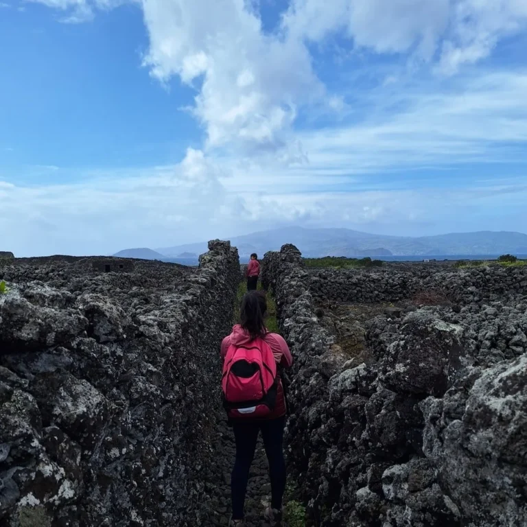 Pico West Coast Hike • Private