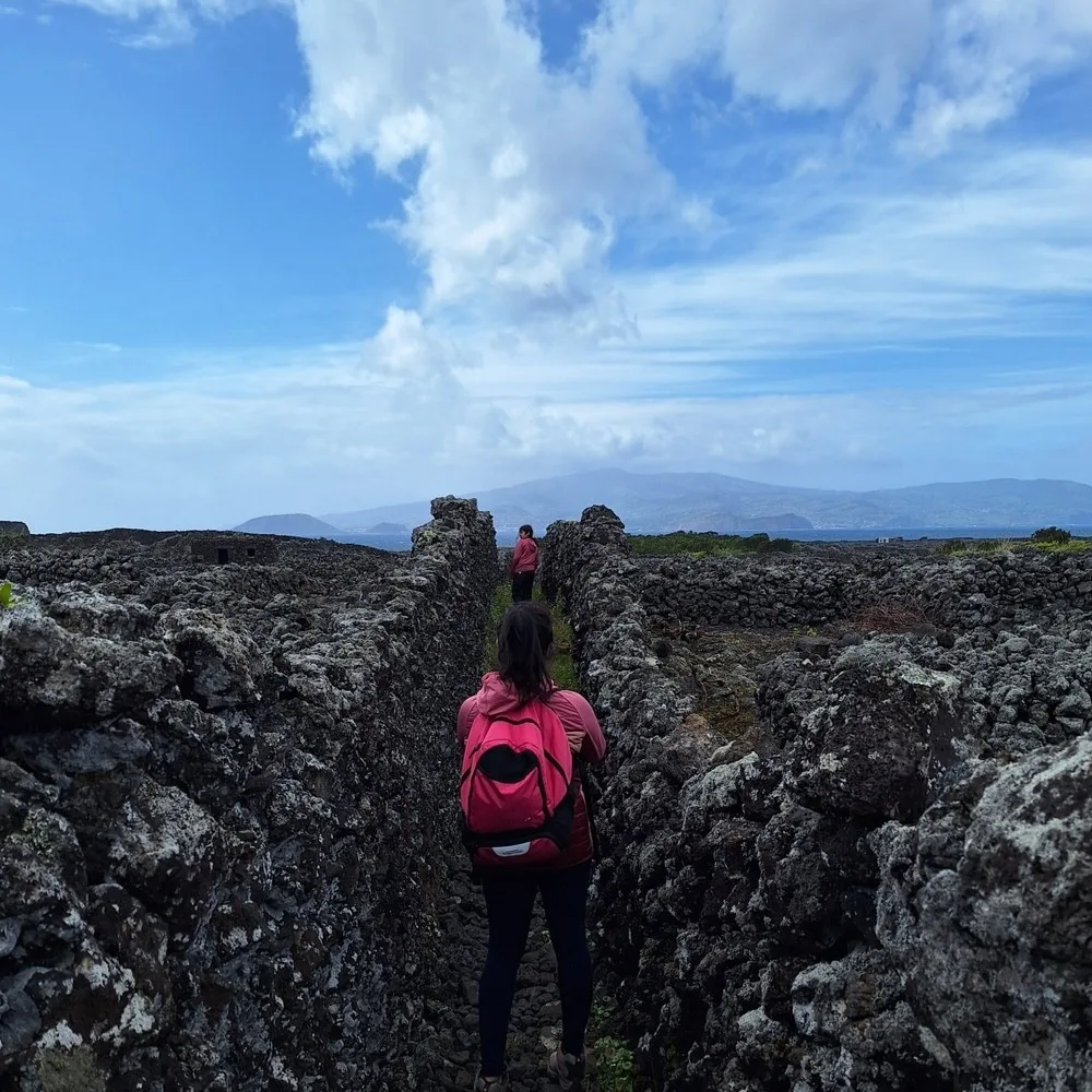 Pico West Coast Hike • Private