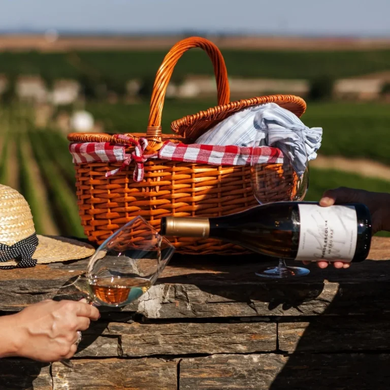 Picknick im Weinberg