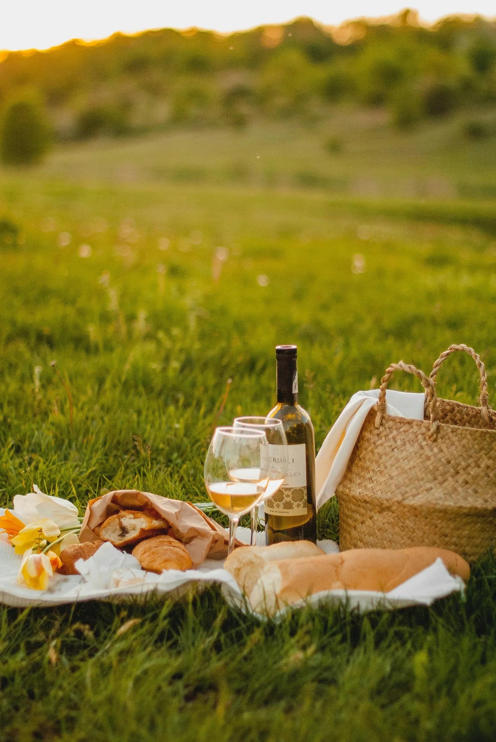 Cesta de Picnic