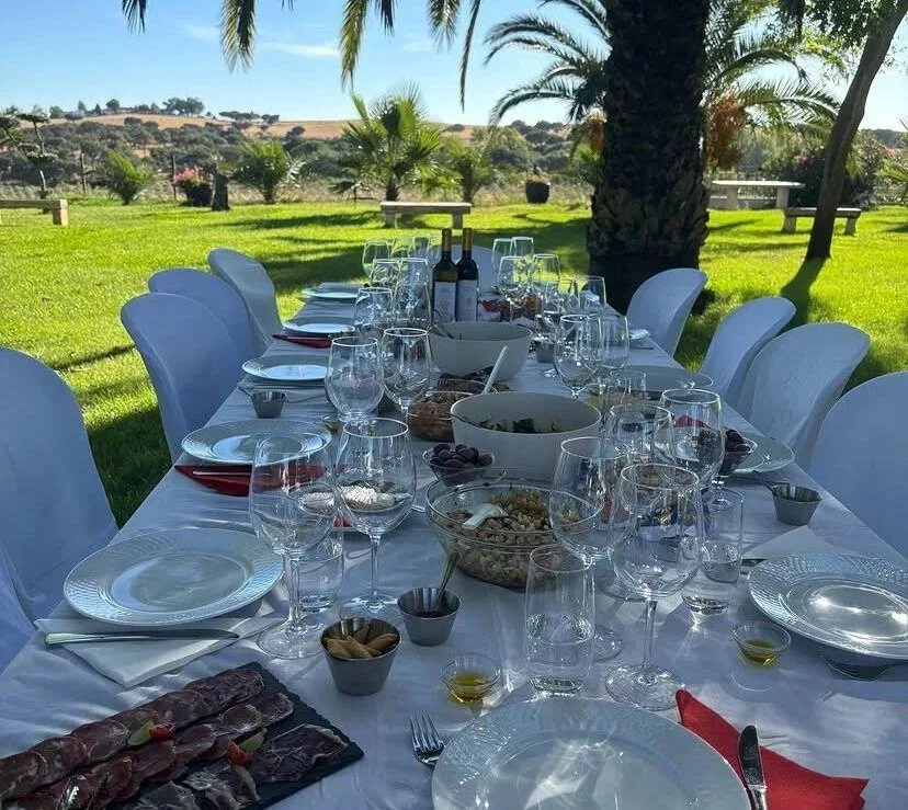 Sunset Wine Picnic in Évora Vineyards