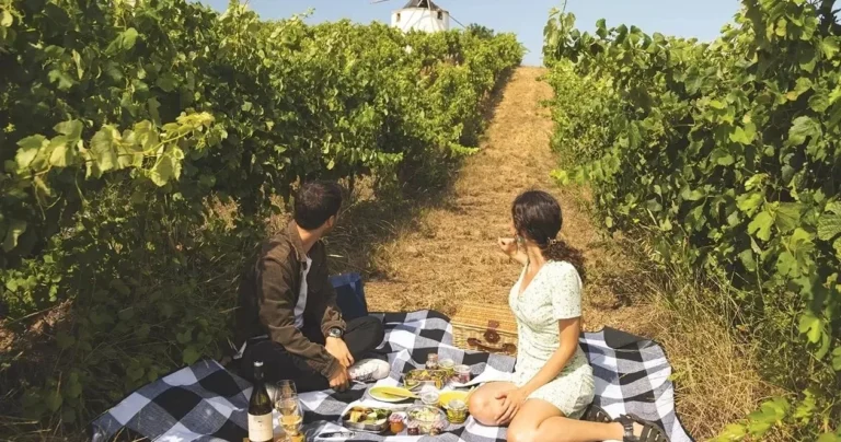 Lisbon Picnic Winery Experience – Wine & Culinary Picnic