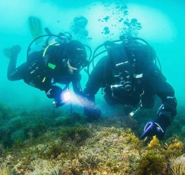 PADI Scuba Diver