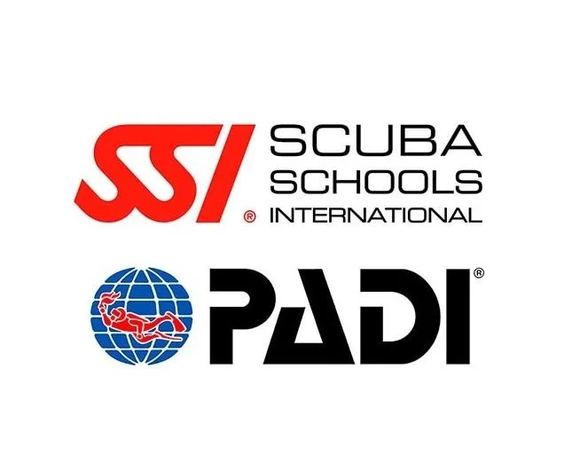Dive & Specialty Courses