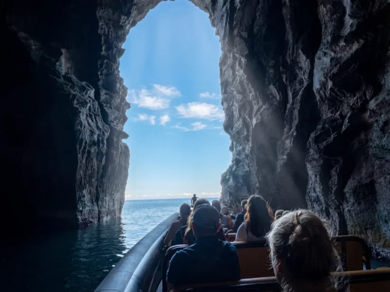 Sea Caves & Volcanic Cliffs Boat Tour