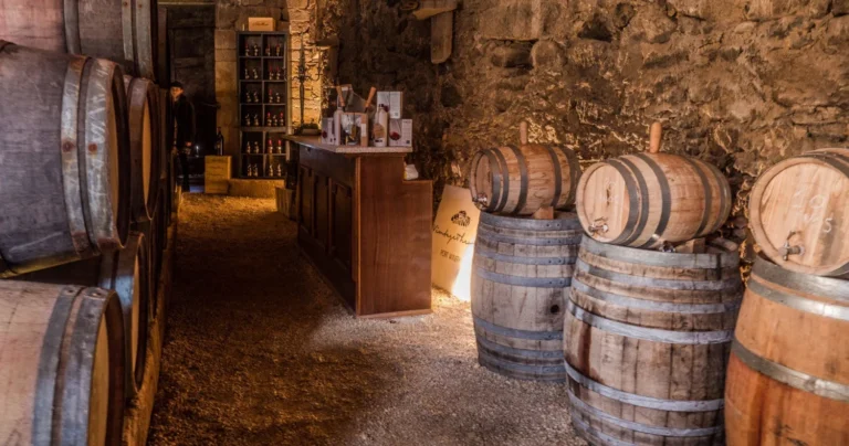 Private Douro Valley Food and Wine Tour From Porto