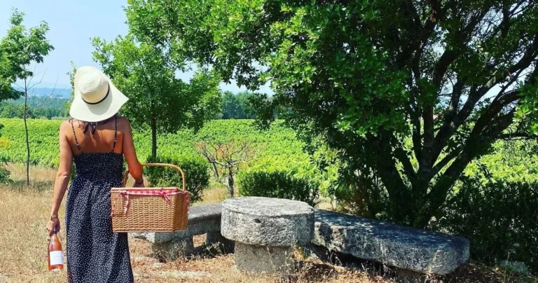 Picnic at the Vineyard (EN)